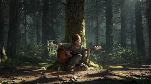 Thc Last Of Us