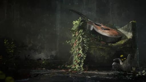 Thc Last Of Us