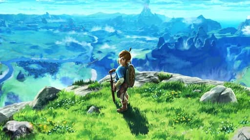 Zelda